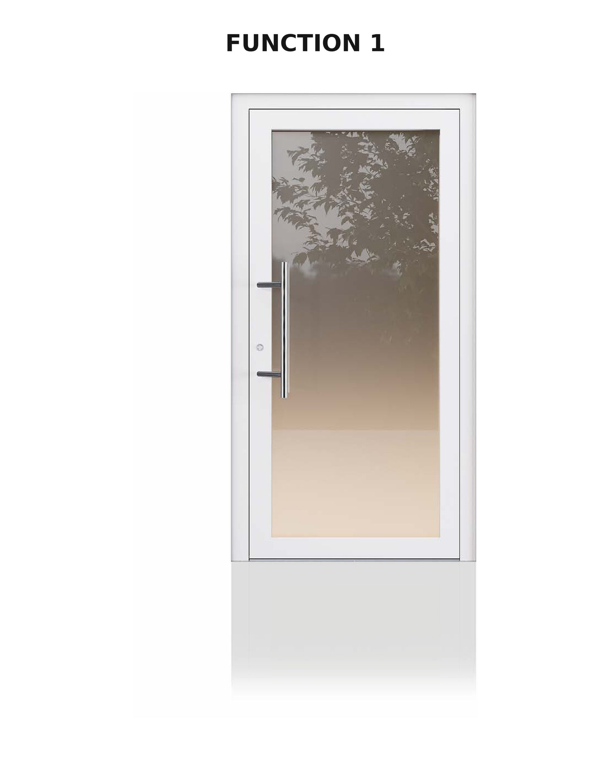 Türmodell Function 1 in RAL 9016 mit großem Glasausschnitt
