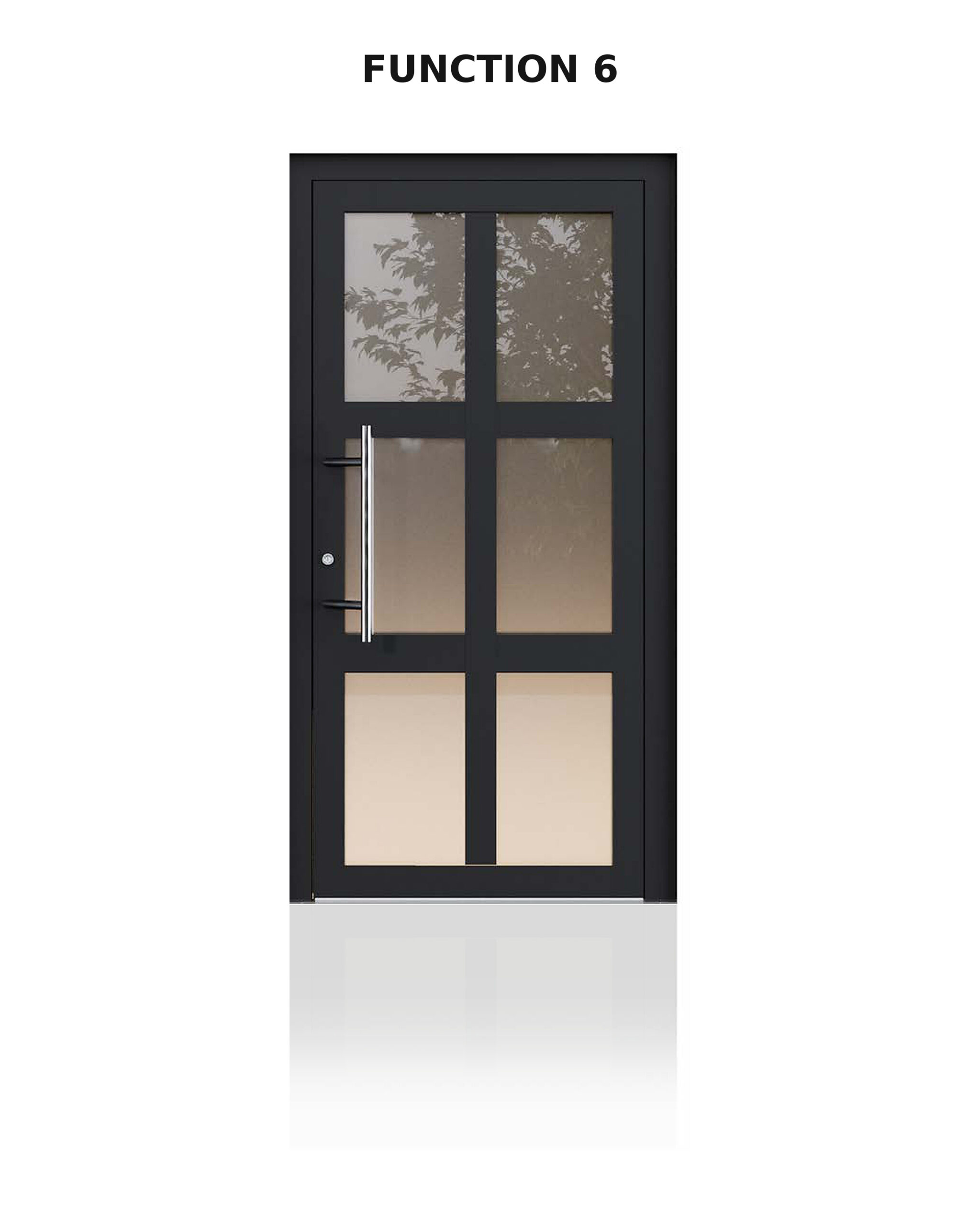 Türmodell Function 6 in RAL 7021 mit geteilten Glasausschnitten